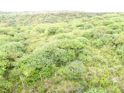 Prime 20 Acres Nendurogo, Saikeri at Per Acre - Image 14