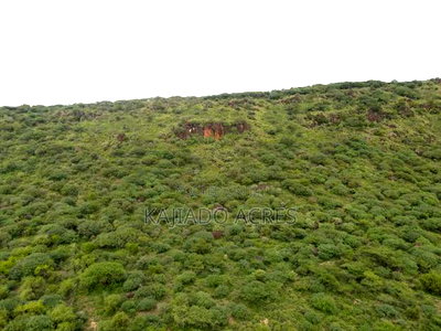 Prime 20 Acres Nendurogo, Saikeri at Per Acre - Image 5