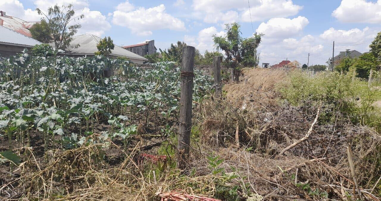 KSh 4M Syokimau Plot