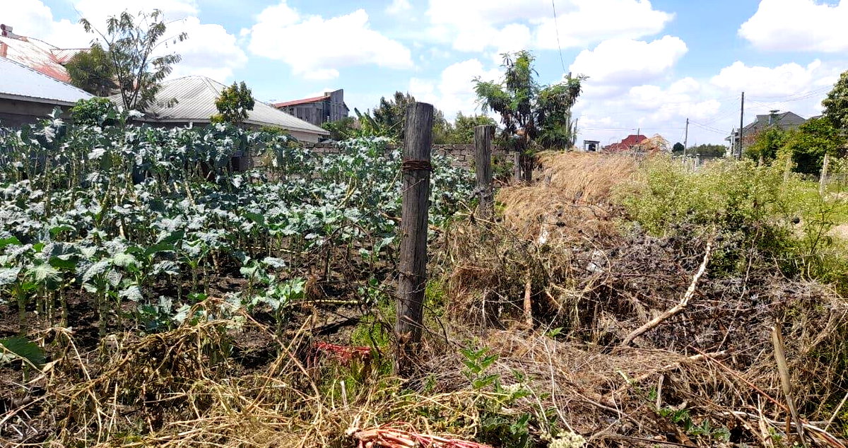 KSh 4M Syokimau Plot