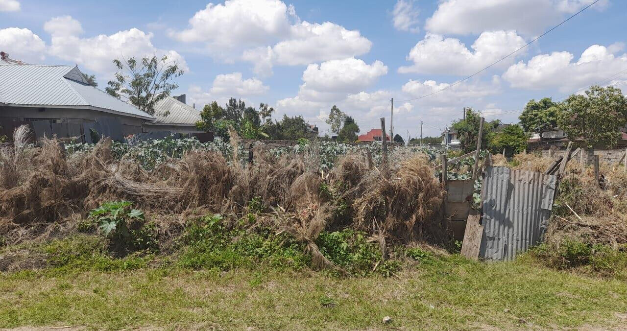 KSh 4M Syokimau Plot