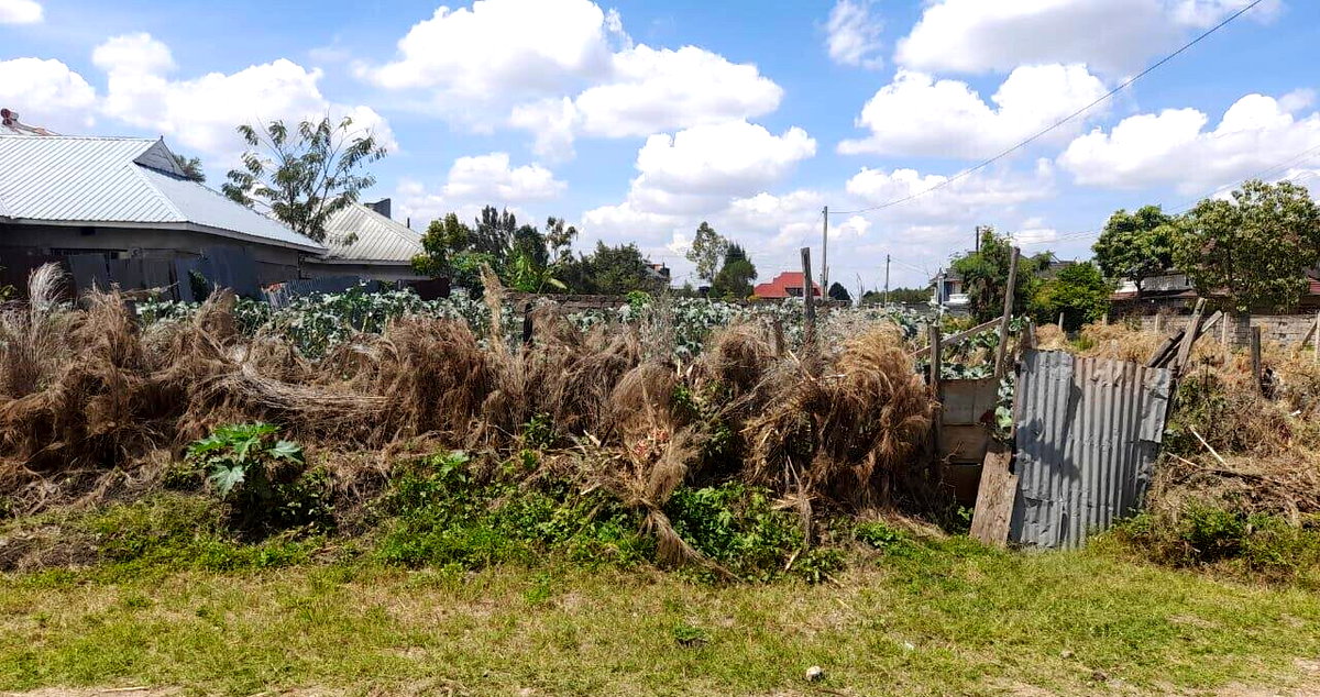 KSh 4M Syokimau Plot