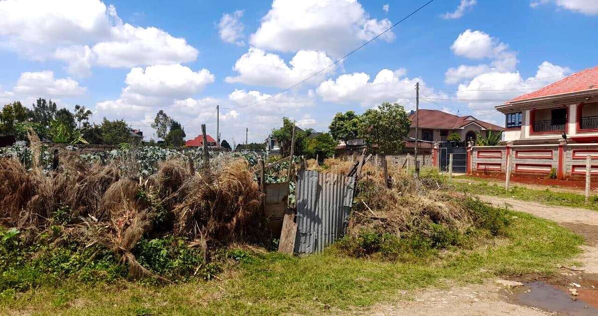 KSh 4M Syokimau Plot