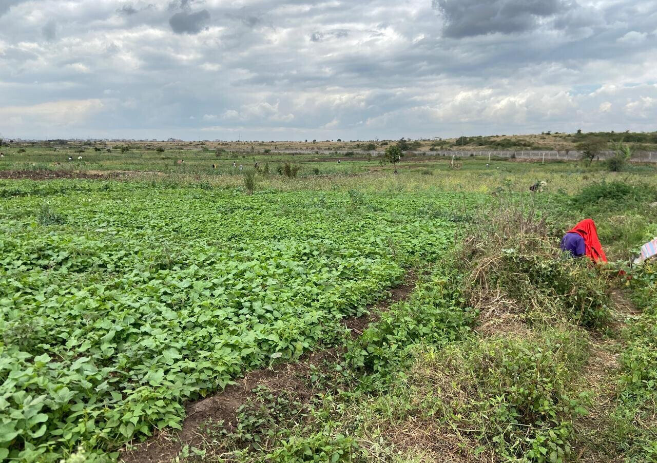 Garden Plot Under 2M in Mwiki