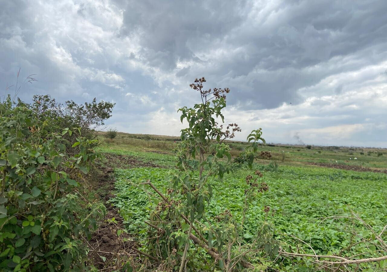 Garden Plot Under 2M in Mwiki