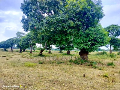 Ganda Furunzi Malindi Plots - Image 4