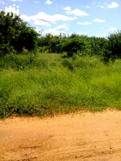 Kilifi County Malindi 20 Acres for Sale - Image 2