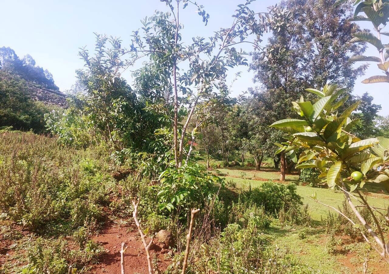 KSh 750K Plot Near Kisumu-Busia Road