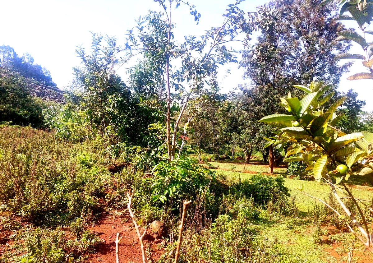KSh 750K Plot Near Kisumu-Busia Road