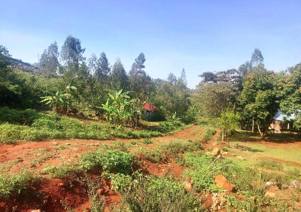 KSh 750K Plot Near Kisumu-Busia Road