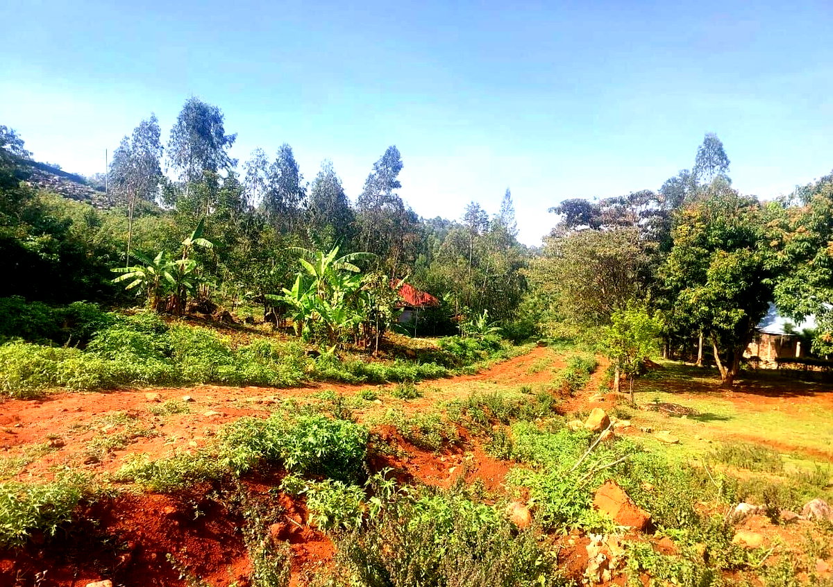 KSh 750K Plot Near Kisumu-Busia Road