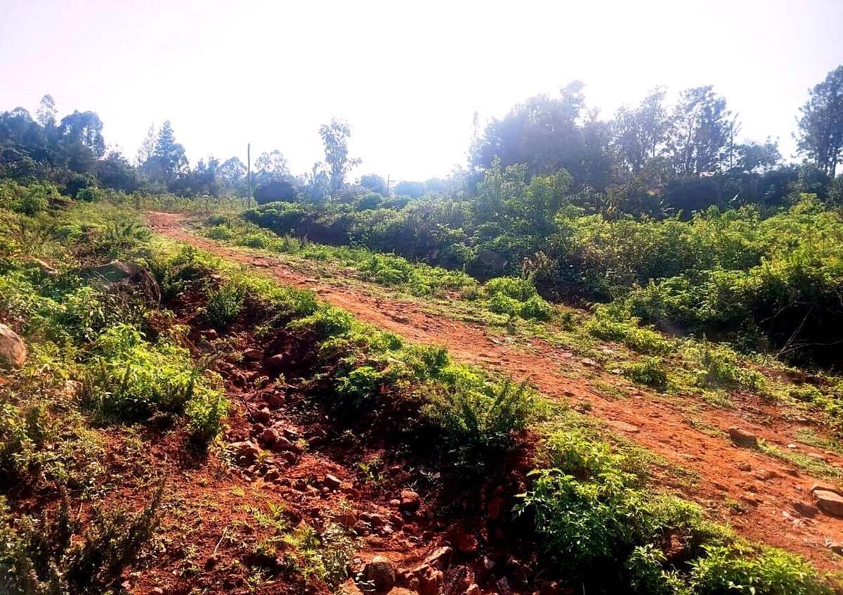 KSh 750K Plot Near Kisumu-Busia Road