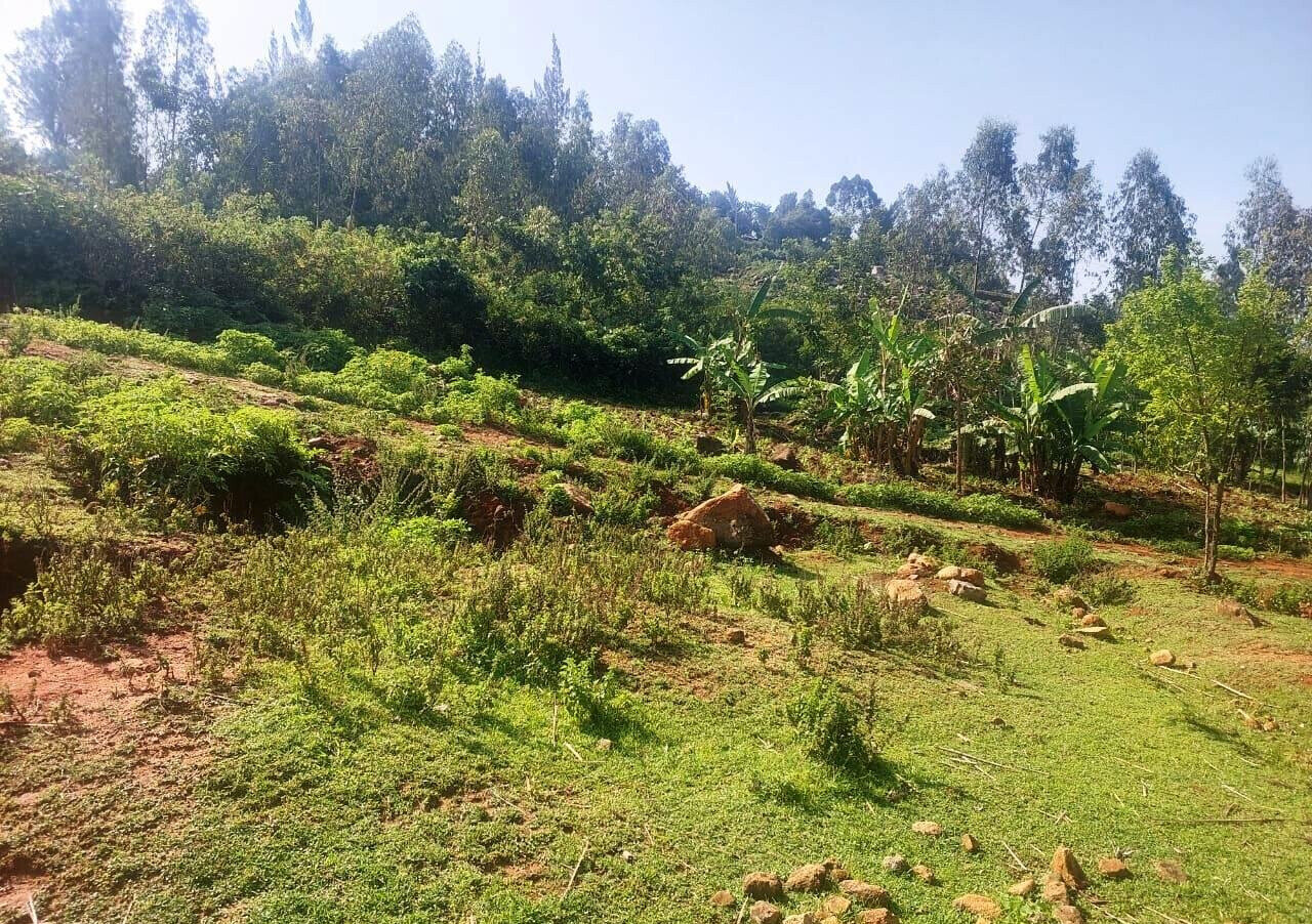 KSh 750K Plot Near Kisumu-Busia Road