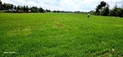 8 Acres Prime Land for Sale in Sogomo Chepkoilel in Eldoret - Image 6