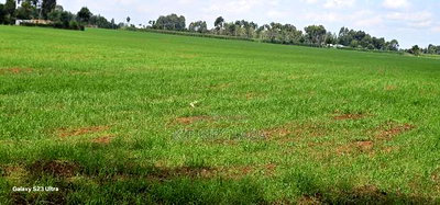 8 Acres Prime Land for Sale in Sogomo Chepkoilel in Eldoret - Image 8