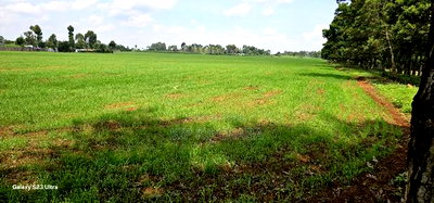 8 Acres Prime Land for Sale in Sogomo Chepkoilel in Eldoret - Image 3