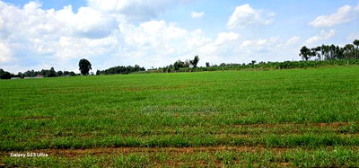 8 Acres Prime Land for Sale in Sogomo Chepkoilel in Eldoret - Image 13