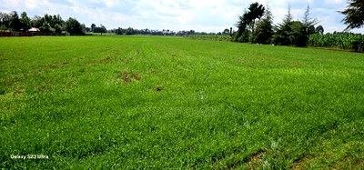 8 Acres Prime Land for Sale in Sogomo Chepkoilel in Eldoret - Image 16