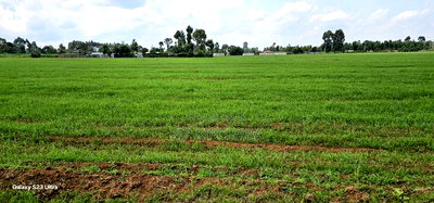 8 Acres Prime Land for Sale in Sogomo Chepkoilel in Eldoret - Image 11
