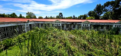 20bdrm Apartment in Elgonview for sale - Image 5