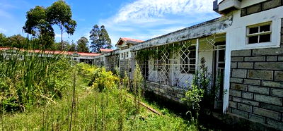 20bdrm Apartment in Elgonview for sale - Image 7