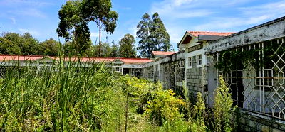 20bdrm Apartment in Elgonview for sale - Image 11