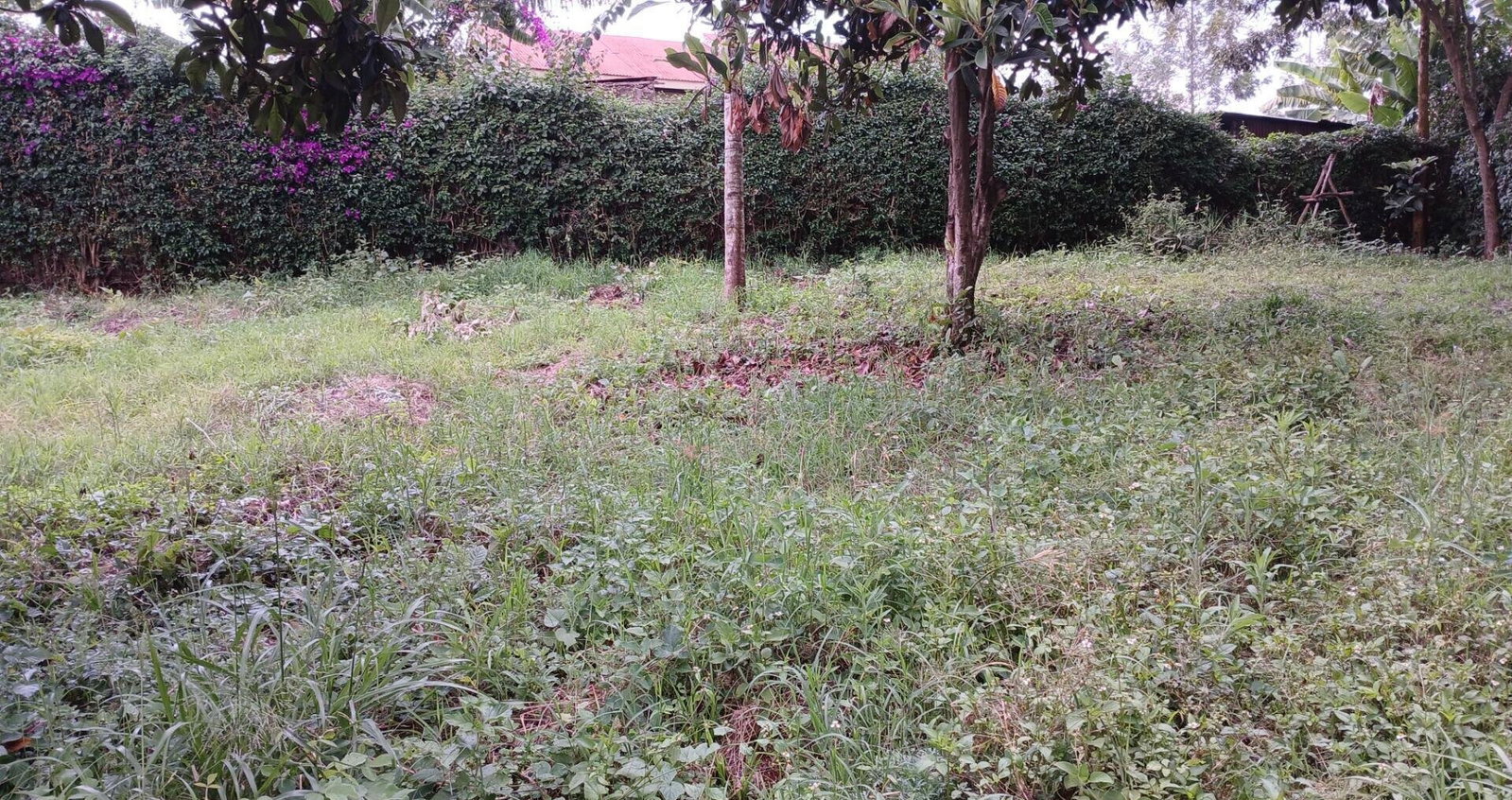 50x100 Plot in Karen Kerarapon