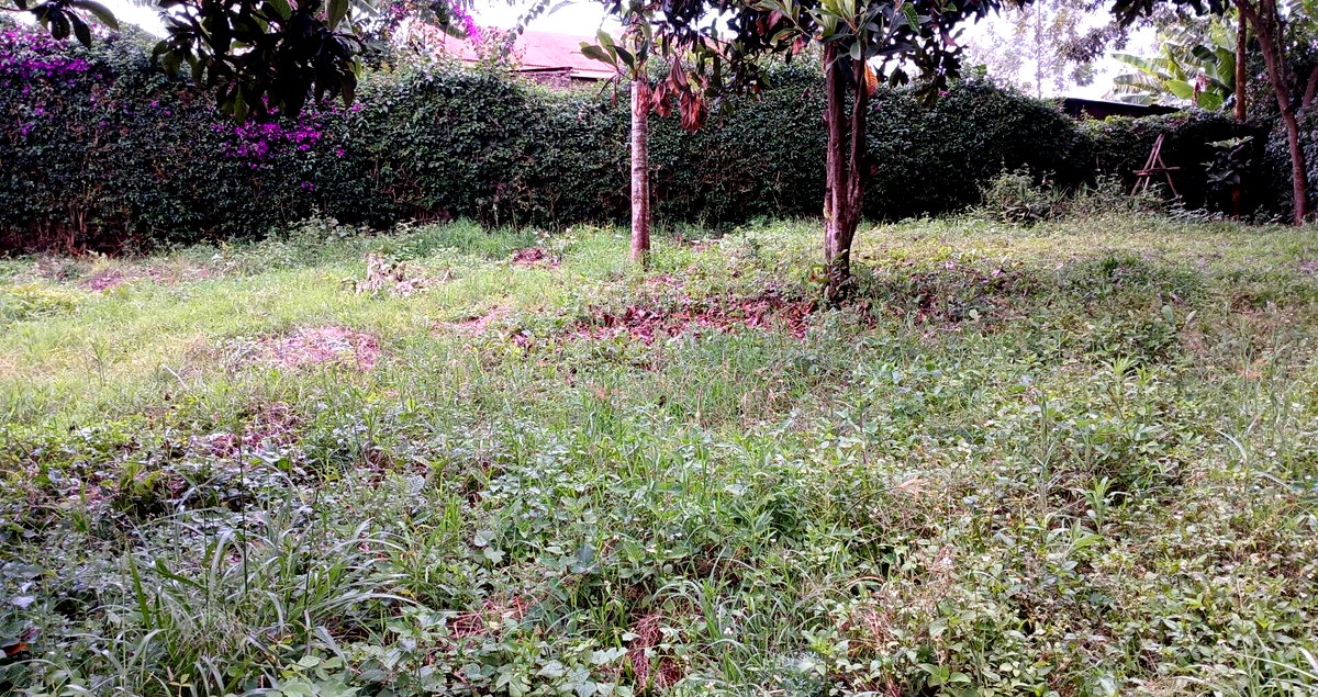 50x100 Plot in Karen Kerarapon