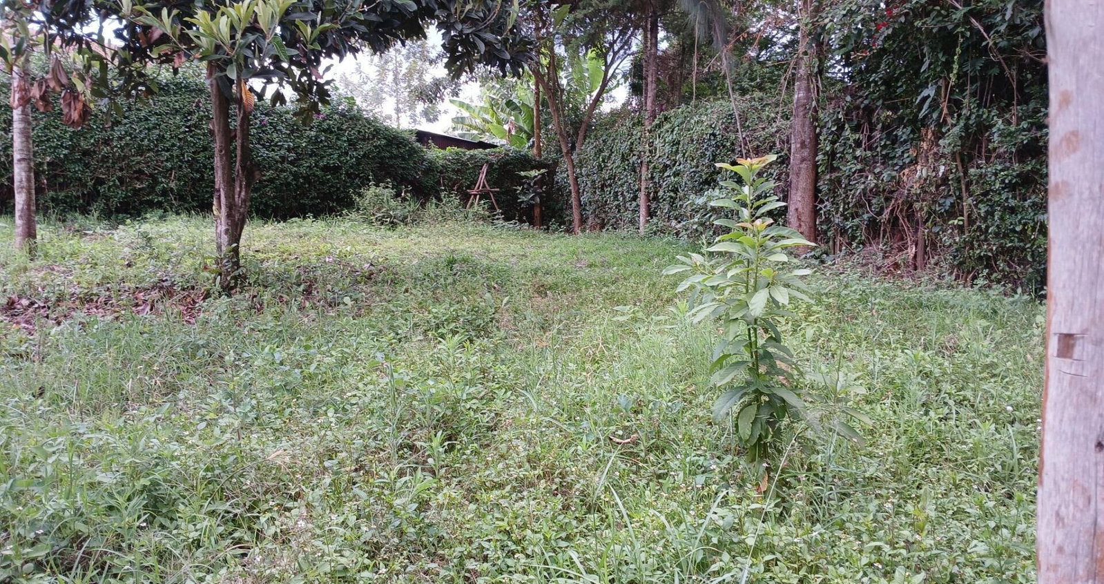 50x100 Plot in Karen Kerarapon