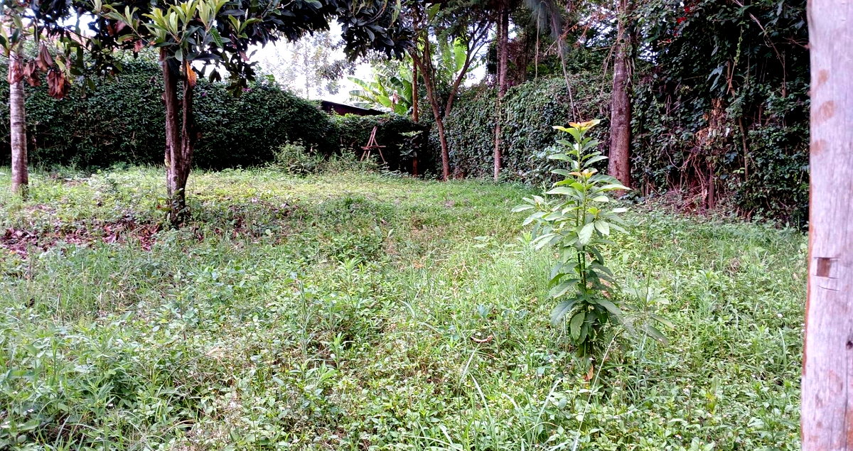 50x100 Plot in Karen Kerarapon