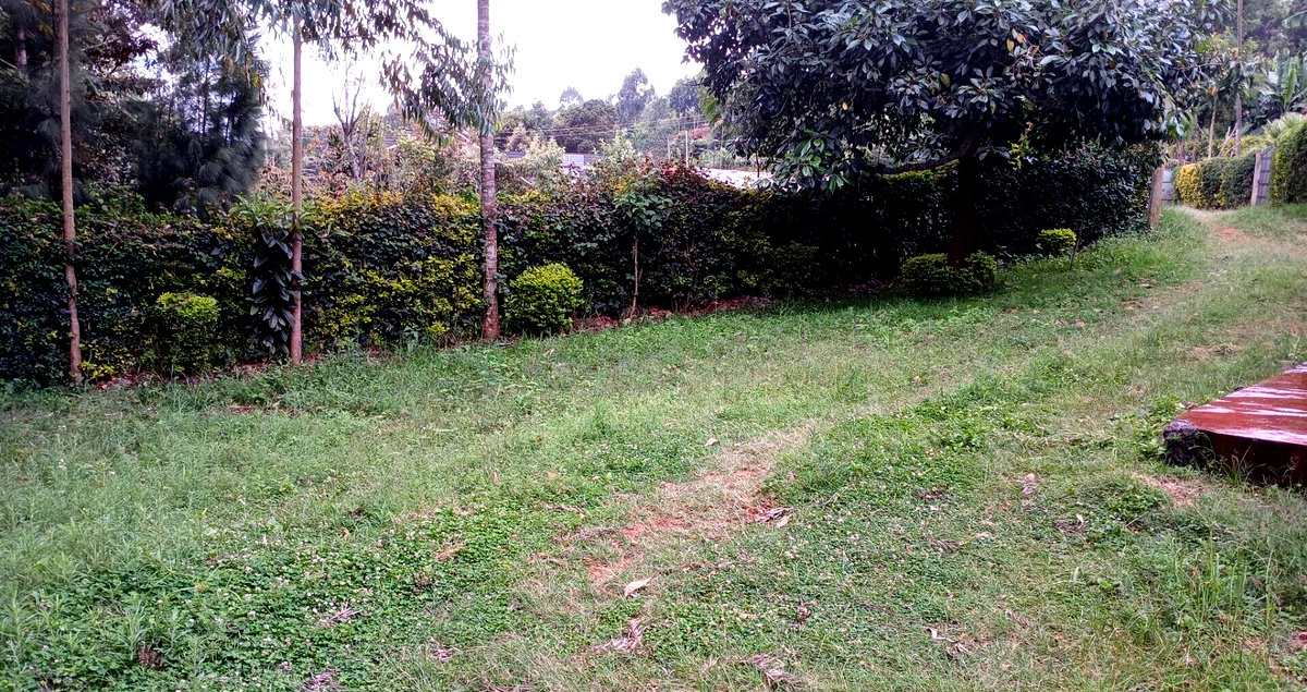 50x100 Plot in Karen Kerarapon