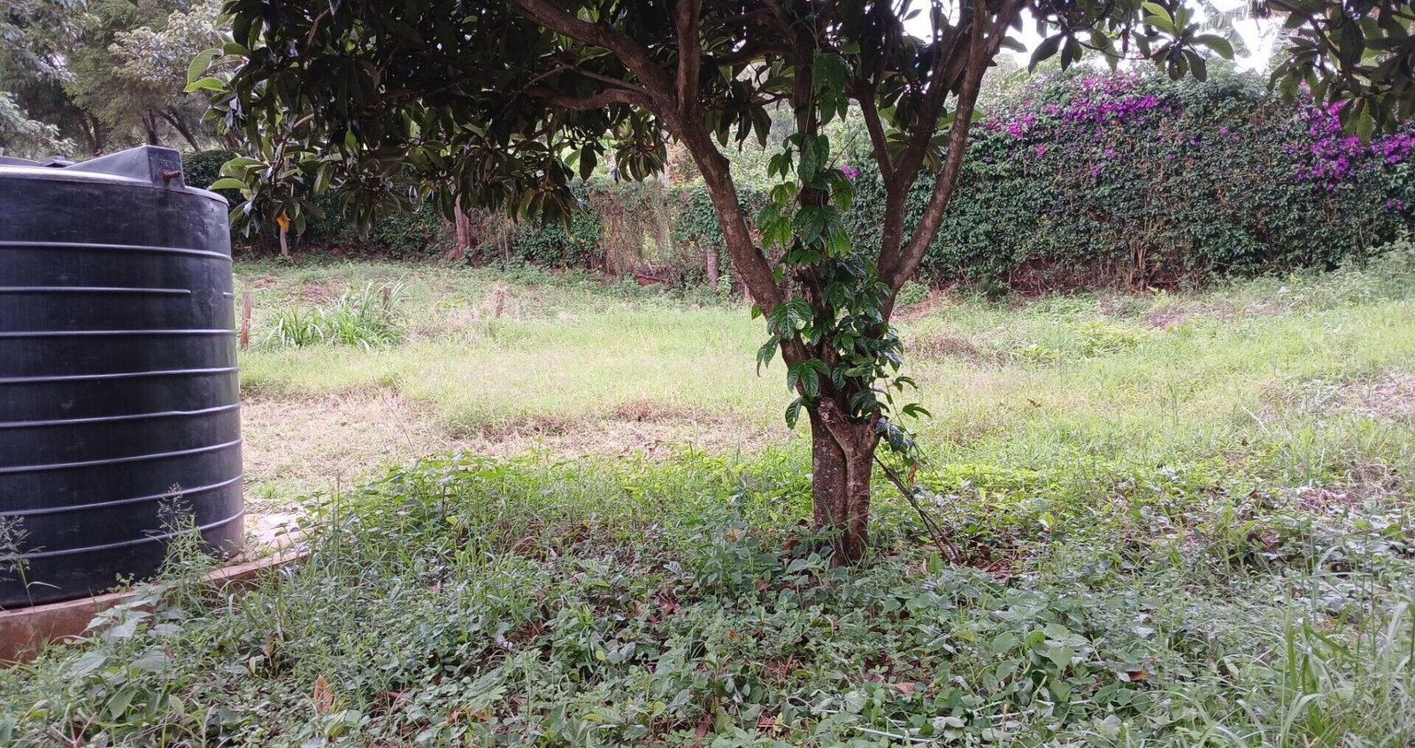 50x100 Plot in Karen Kerarapon