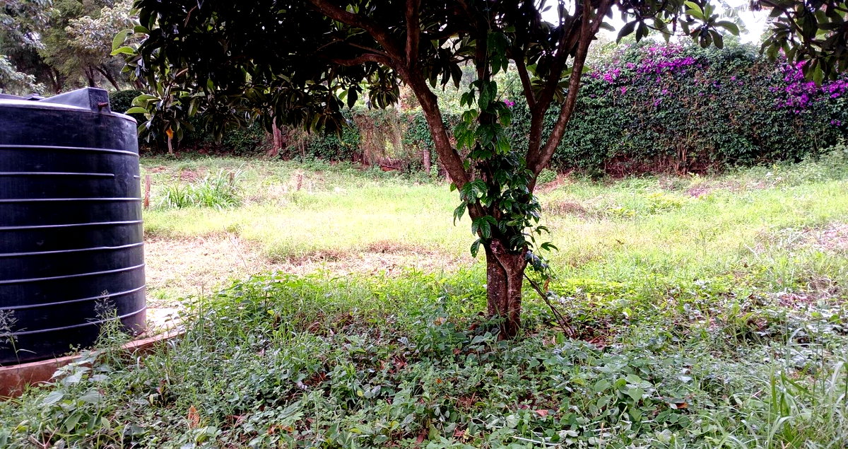 50x100 Plot in Karen Kerarapon