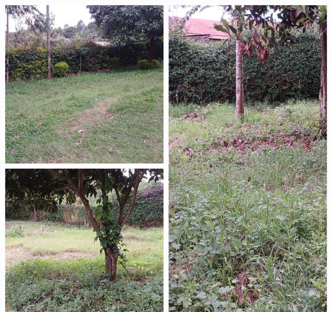 50x100 Plot in Karen Kerarapon