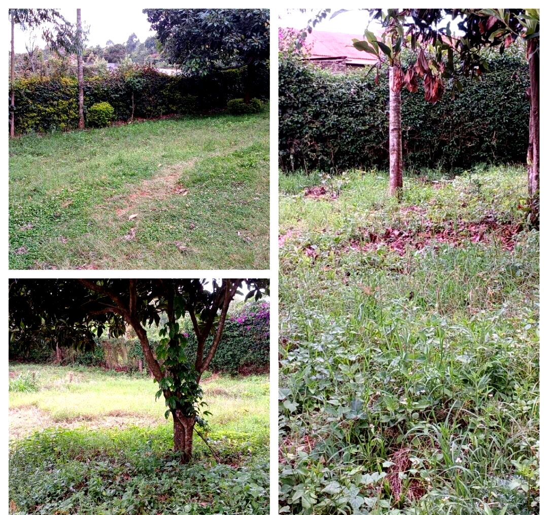 50x100 Plot in Karen Kerarapon