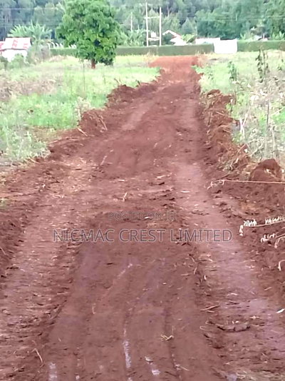 Plots for Sale in Rironi Near Tilisi - Image 3