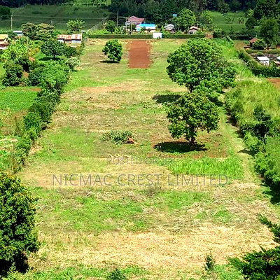 Plots for Sale in Rironi Near Tilisi - Image 1
