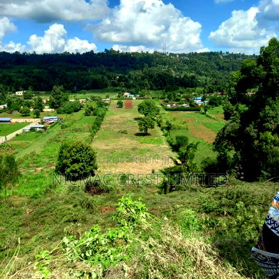 Plots for Sale in Rironi Near Tilisi - Image 2
