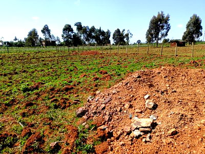 1/4 Plot for Sale in Chepkanga Lelit Eldoret - Image 6