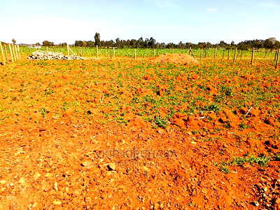 1/4 Plot for Sale in Chepkanga Lelit Eldoret - Image 3