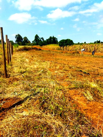 Mbomboini Prime 50x100 Residential Land - Image 3