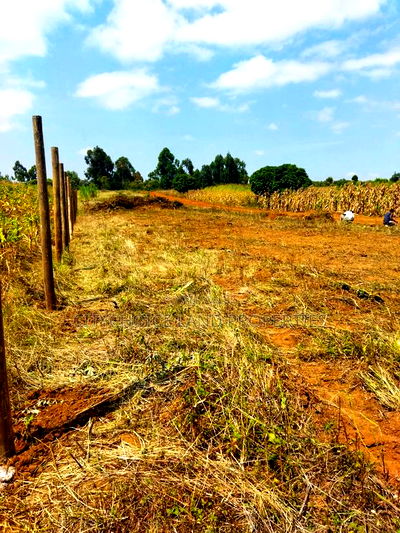 Mbomboini Prime 50x100 Residential Land - Image 2