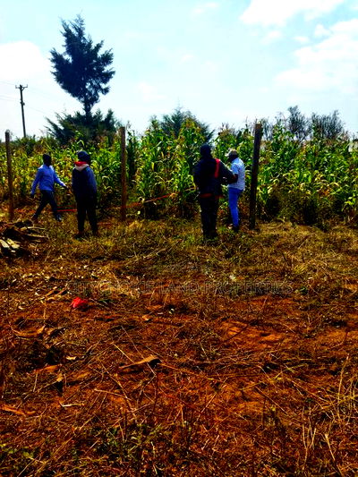 Mbomboini Prime 50x100 Residential Land - Image 1