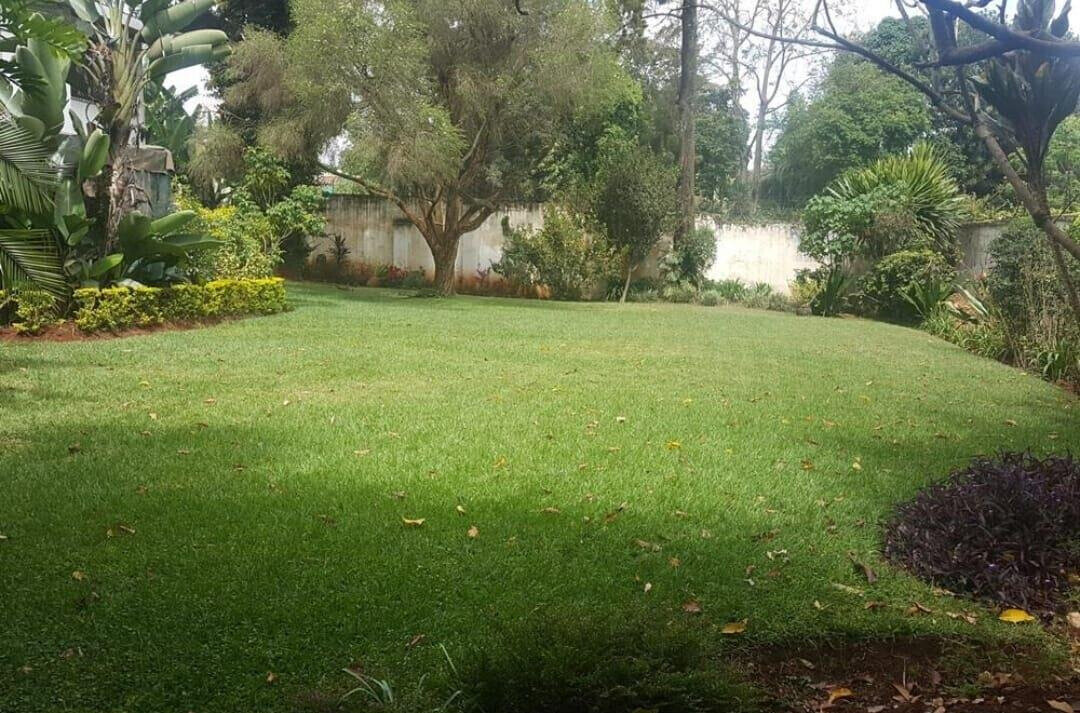 1/8 Acre 6BR Garden Home