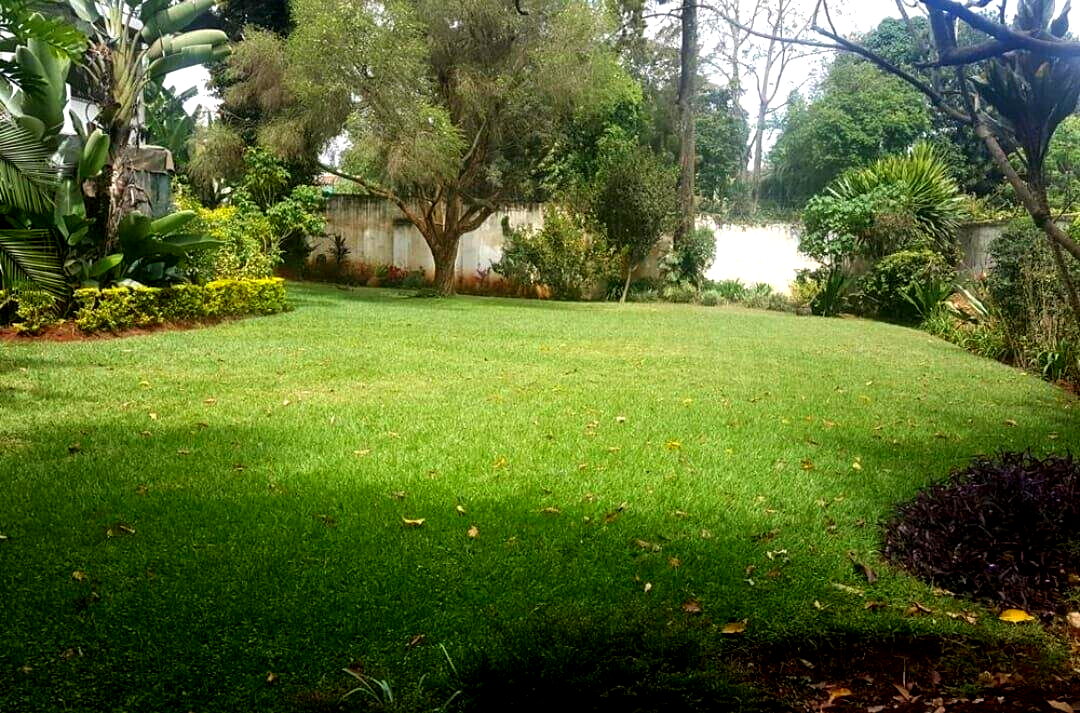 1/8 Acre 6BR Garden Home