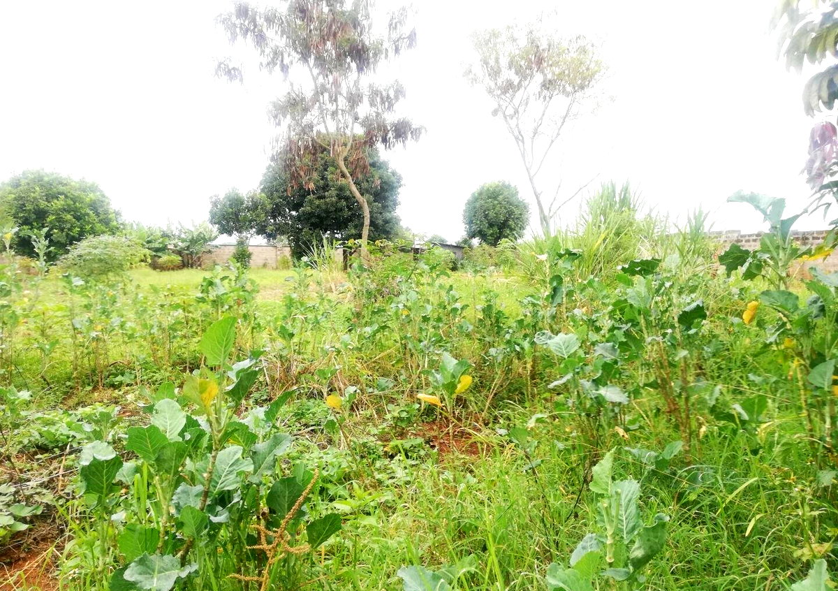 Half Acre Garden Plot in Runda