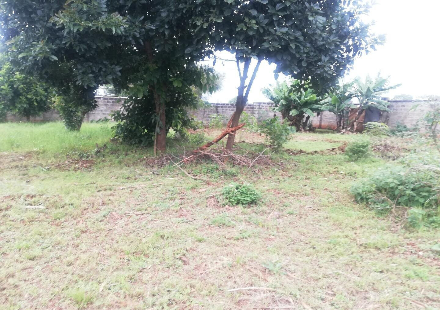 Half Acre Garden Plot in Runda