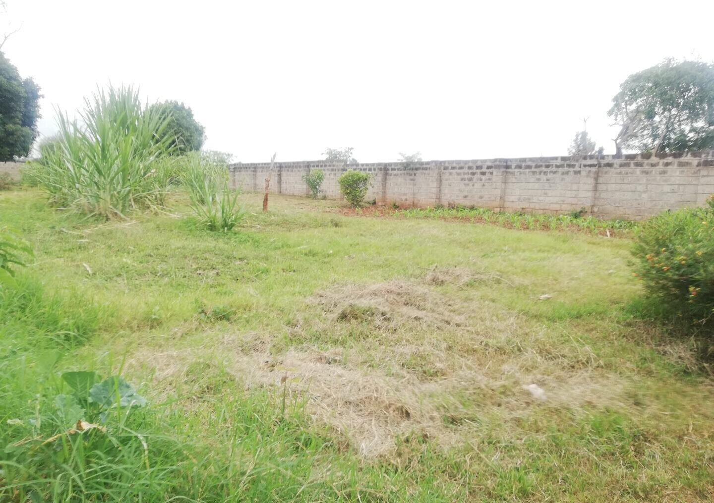 Half Acre Garden Plot in Runda