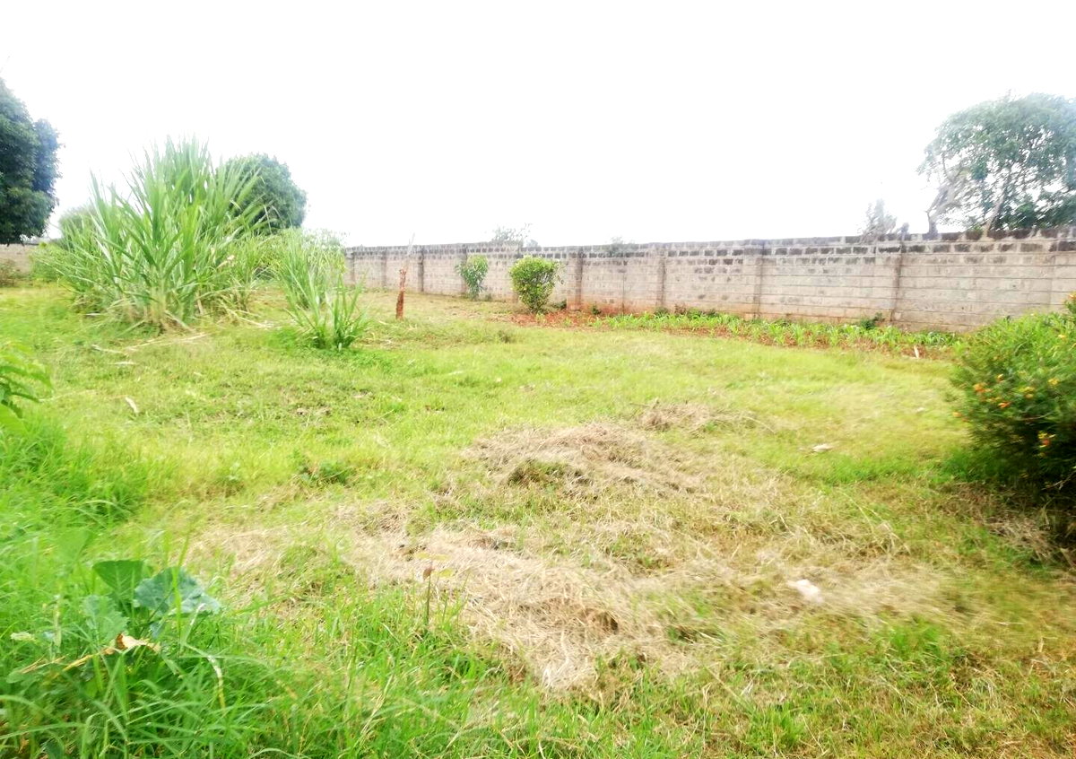 Half Acre Garden Plot in Runda