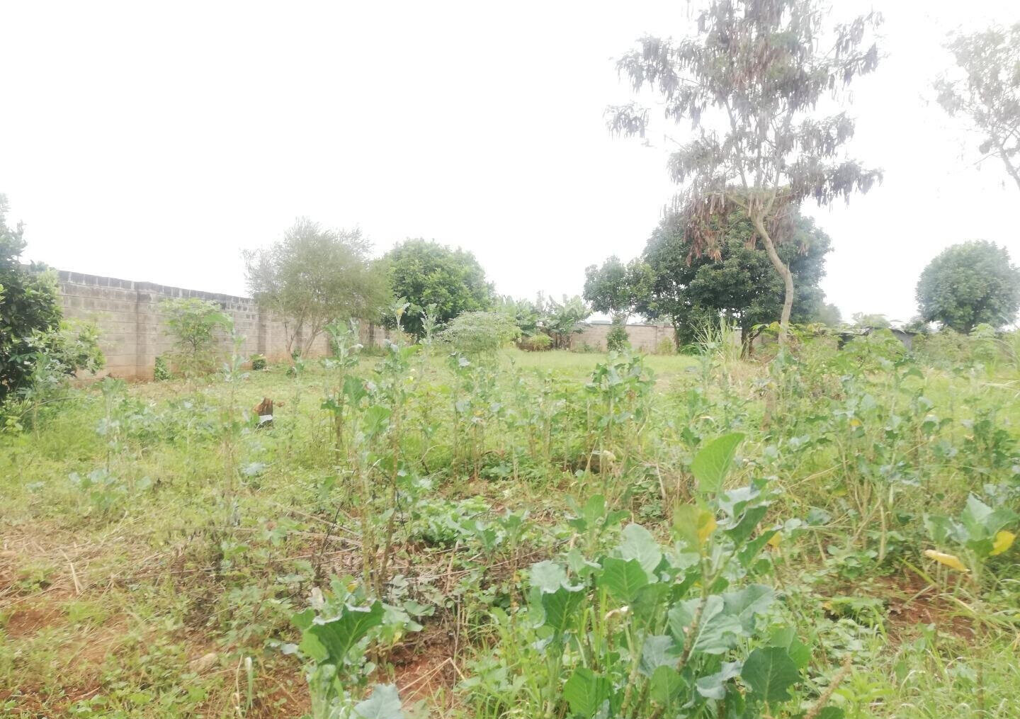 Half Acre Garden Plot in Runda